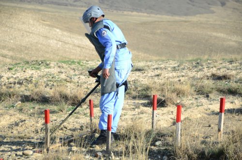 ANAMA ötən ay təmizlədiyi ərazilərin sahəsini açıqlayıb