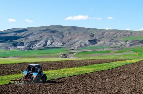 Cəbrayılda ilk dəfə kənd təsərrüfatı üçün sahibkarlara 991 hektar torpaq sahəsi ayrılıb