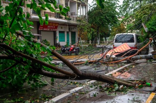 Vyetnamın şimalında qasırğa 14 nəfərin həyatına son qoyub