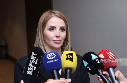 Yeganə Hacıyeva: QHT sektoru COP29 çərçivəsində problemlərin həlli istiqamətində konsepsiya ortaya qoyur