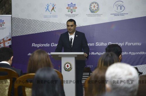 Zaur Darğallı: Qərbin agenturasına çevrilən radikal müxalifət Gürcüstanda sabitliyi pozmağa çalışır