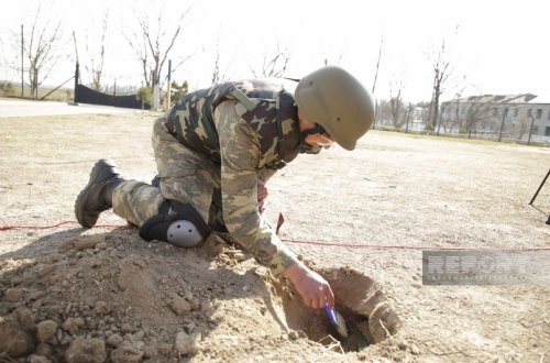 Komitə sədri: Həlak olan minatəmizləyənlərə şəhid adının verilməsi təklifi müsbət qarşılanıb