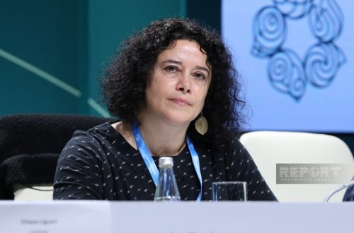 Dövlətlər iqlim dəyişikliyinin insan hüquqlarına mənfi təsirinin qarşısının alınmasına görə məsuliyyət götürmə