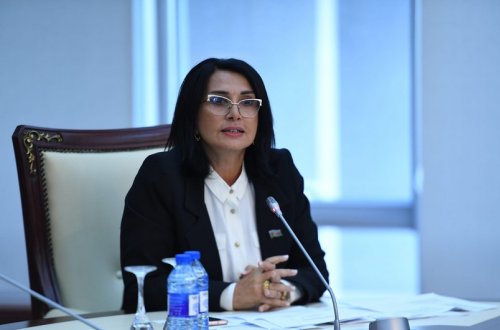 Deputat: Erməni lobbisinin marionetinə çevrilmiş Fransa Ermənistanın əli ilə bölgədə öz arzularını həyata keçi